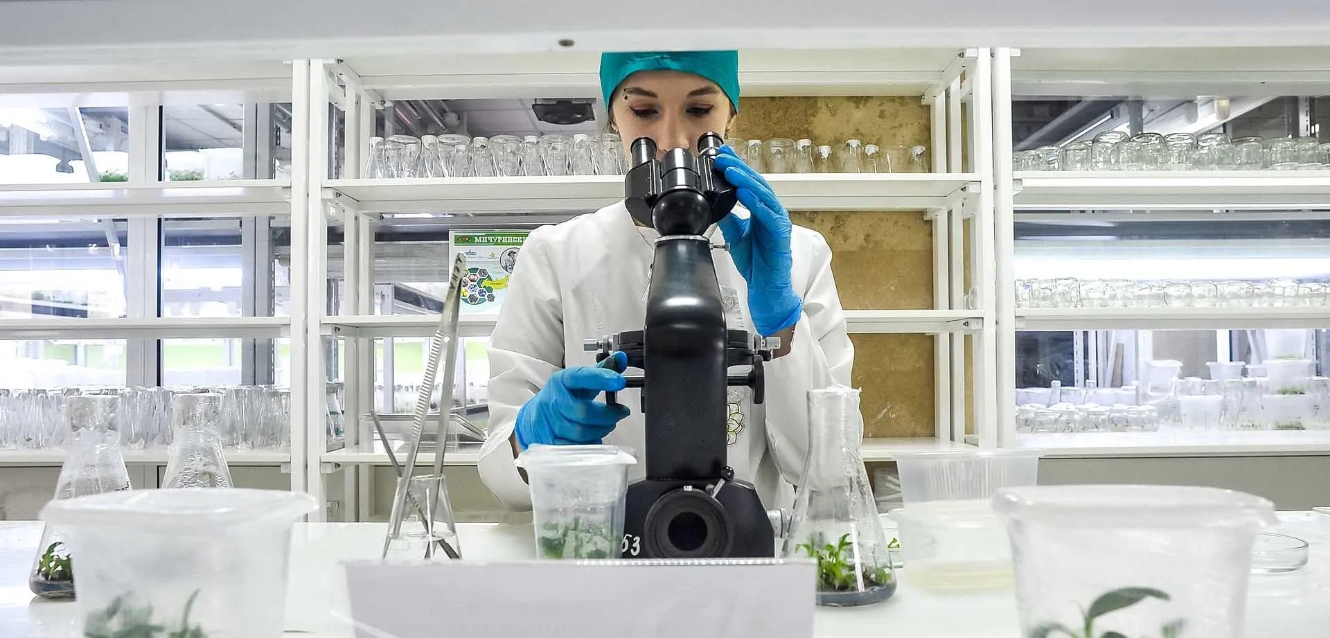 Алексей Сухоруков/РИА Новости