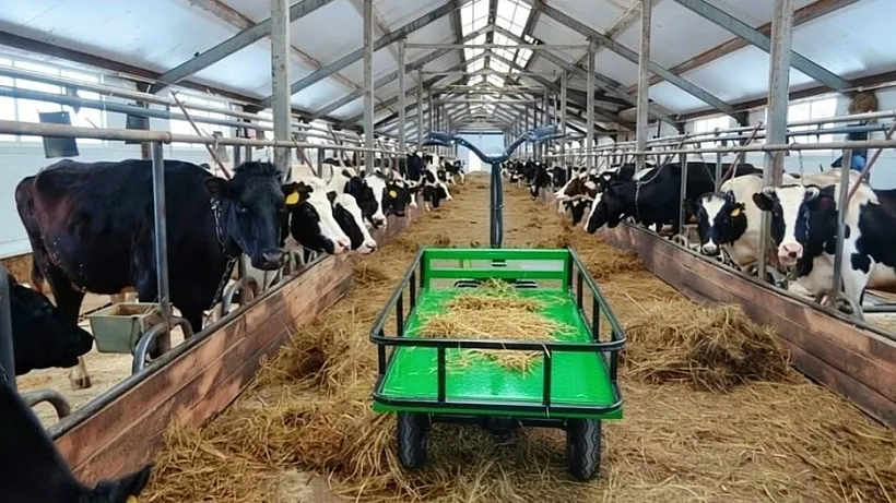 В&nbsp;Коми построят 6&nbsp;животноводческих комплексов