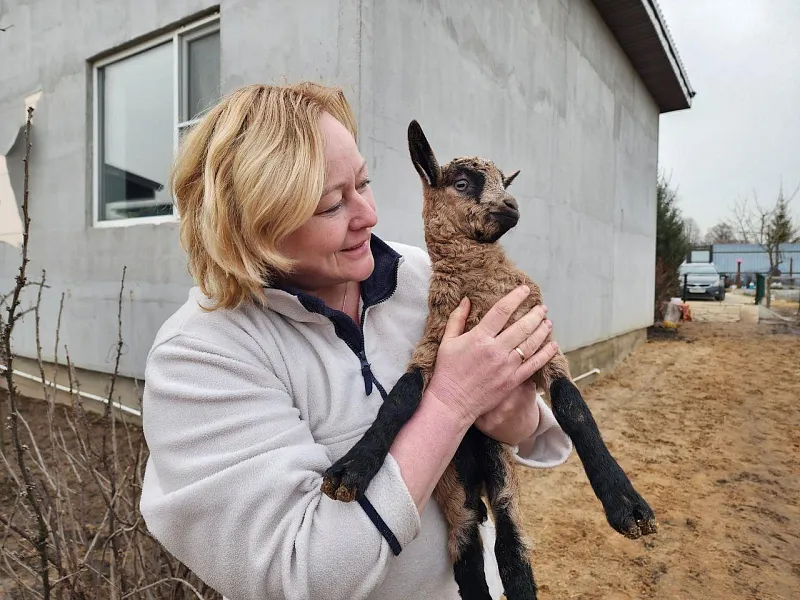 Подмосковные фермы вошли в&nbsp;список маршрутов для&nbsp;гастропутешествий