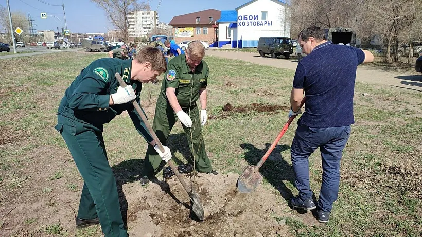 В&nbsp;поселке Тарутино Красноярского края высадили молодой лес из&nbsp;100&nbsp;деревьев