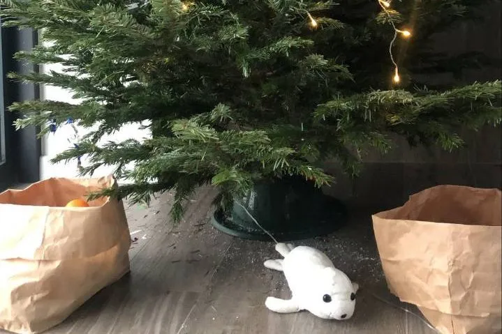 Жители Свердловской области купили у&nbsp;лесничеств около 13&nbsp;тысяч елей и&nbsp;сосен