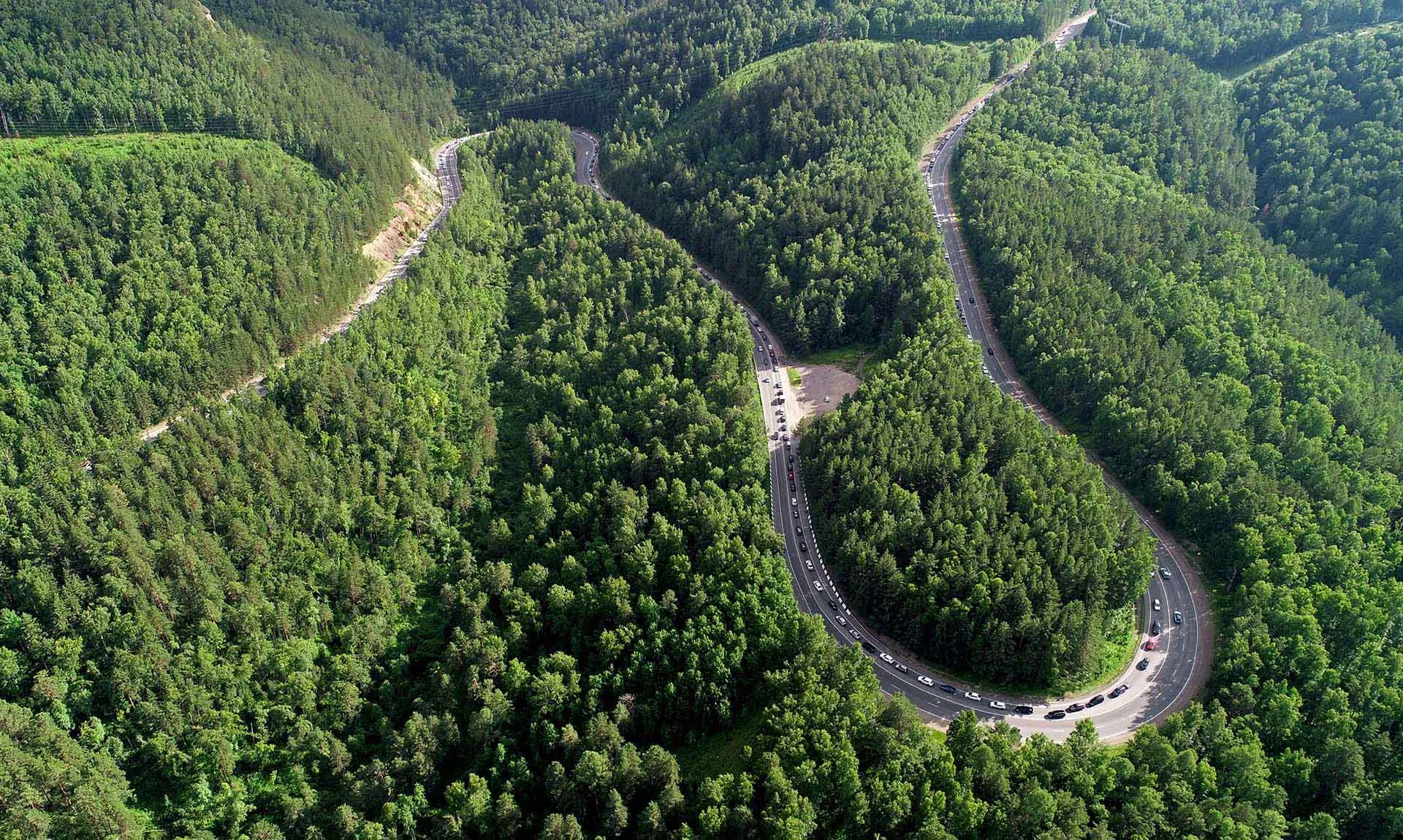 Илья Наймушин/РИА Новости