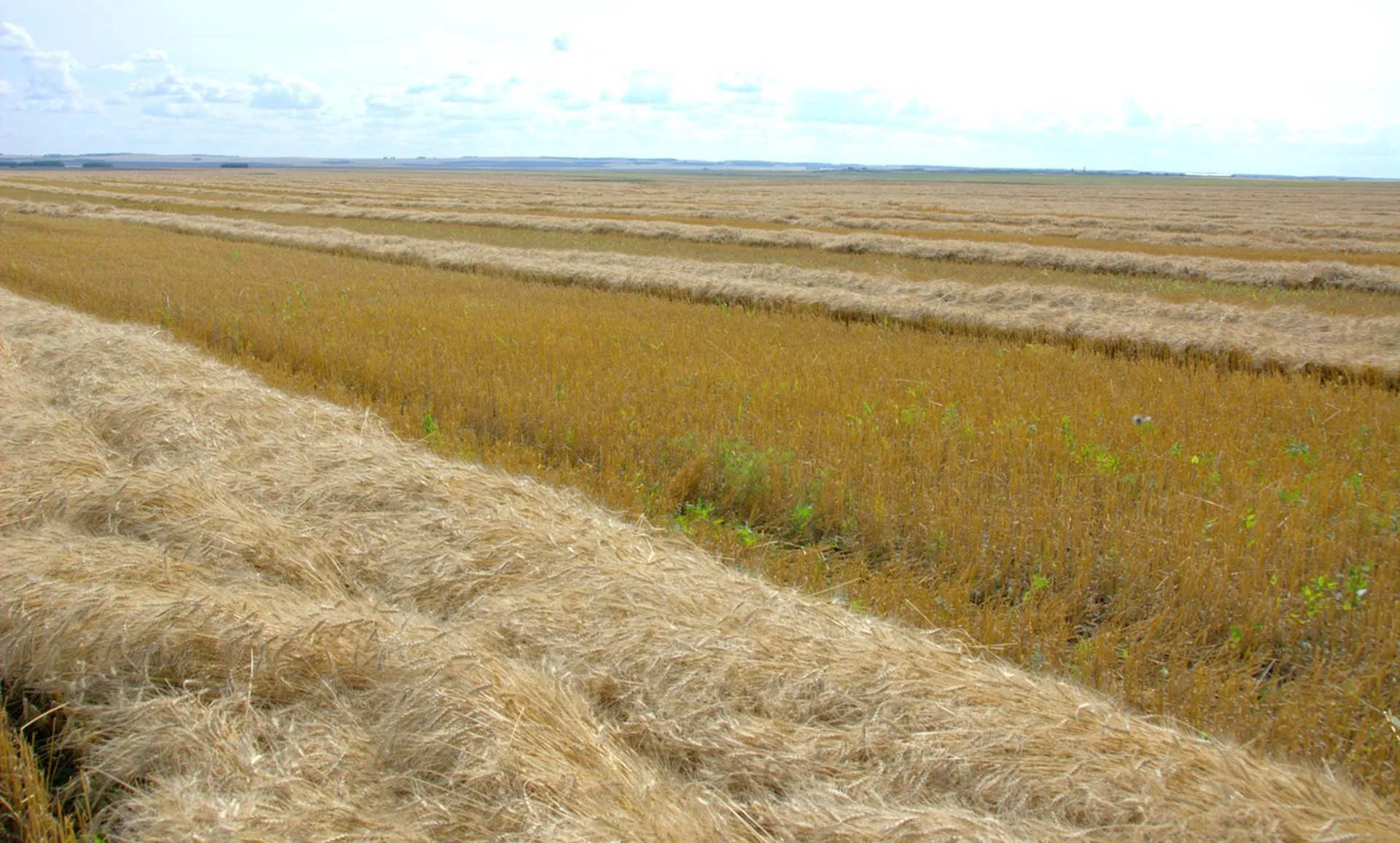 Министерство сельского хозяйства Челябинской области