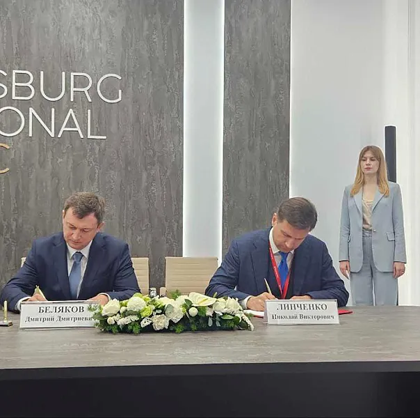 Во&nbsp;Фрунзенском и&nbsp;Невском районах Петербурга построят путепровод