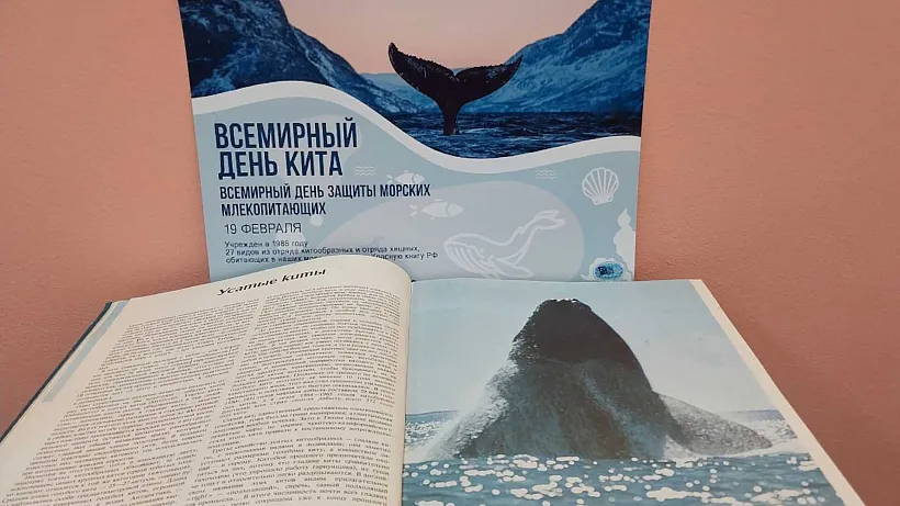 Школьники Челябинска посетили экологический праздник о&nbsp;морях и&nbsp;океанах