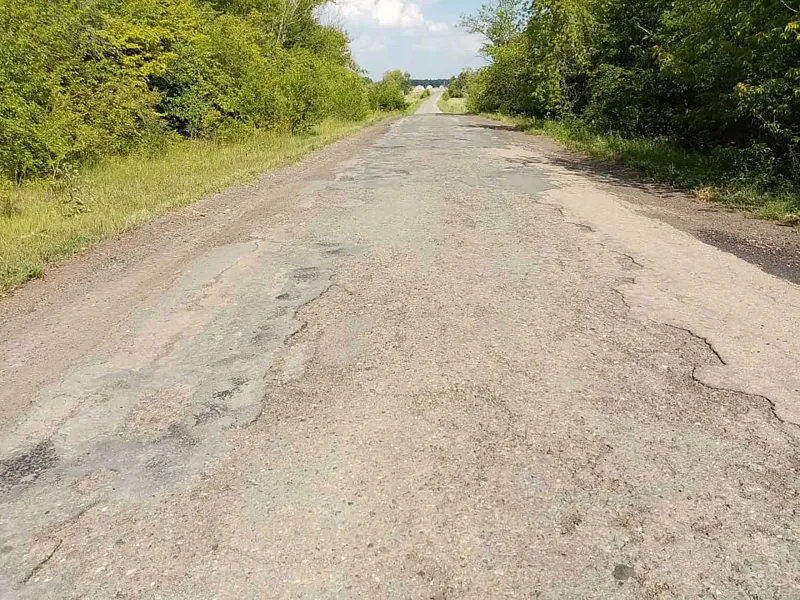 Ремонт дорог в&nbsp;Курганской области идет с&nbsp;опережением графика