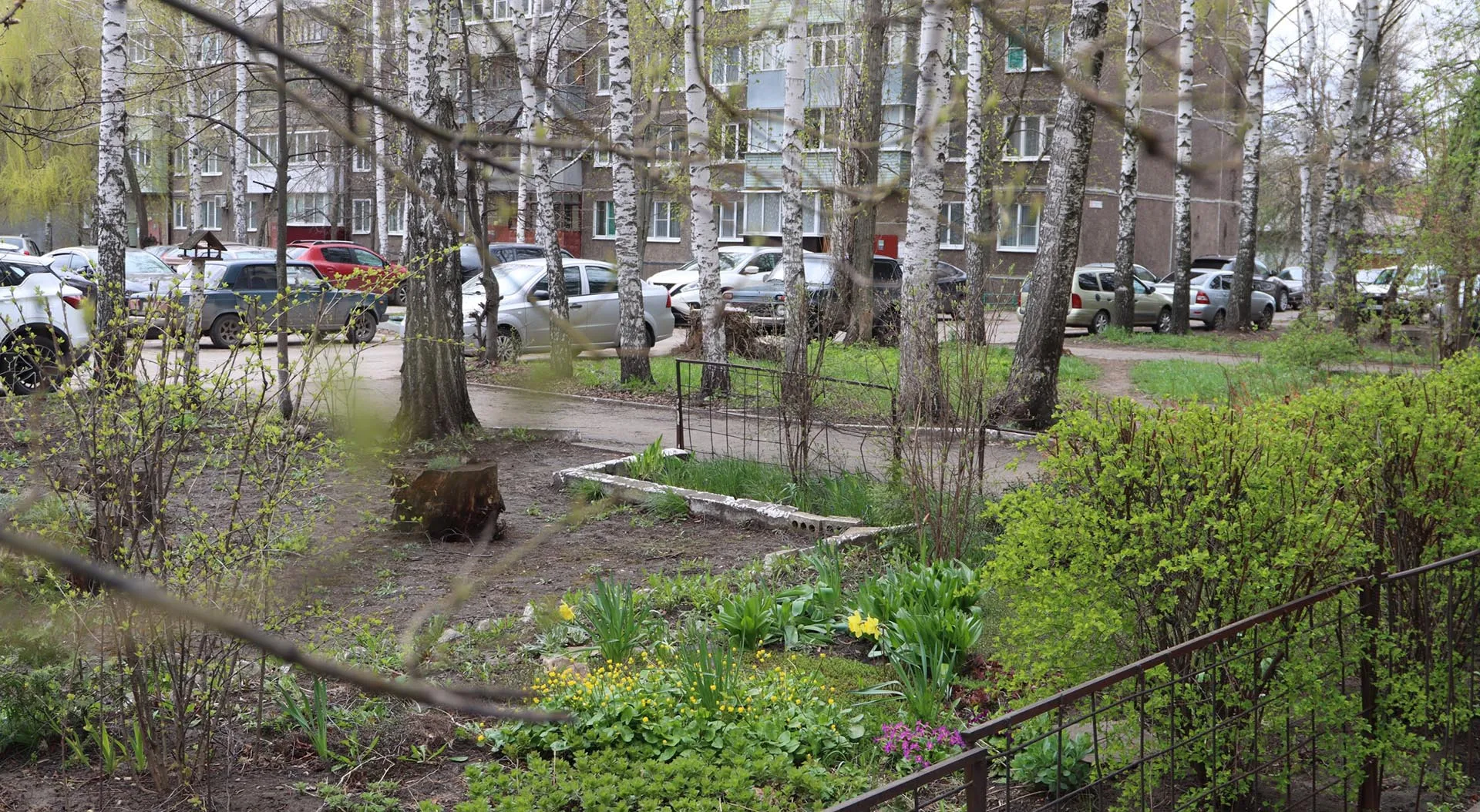 Администрация города Мичуринска Тамбовской области