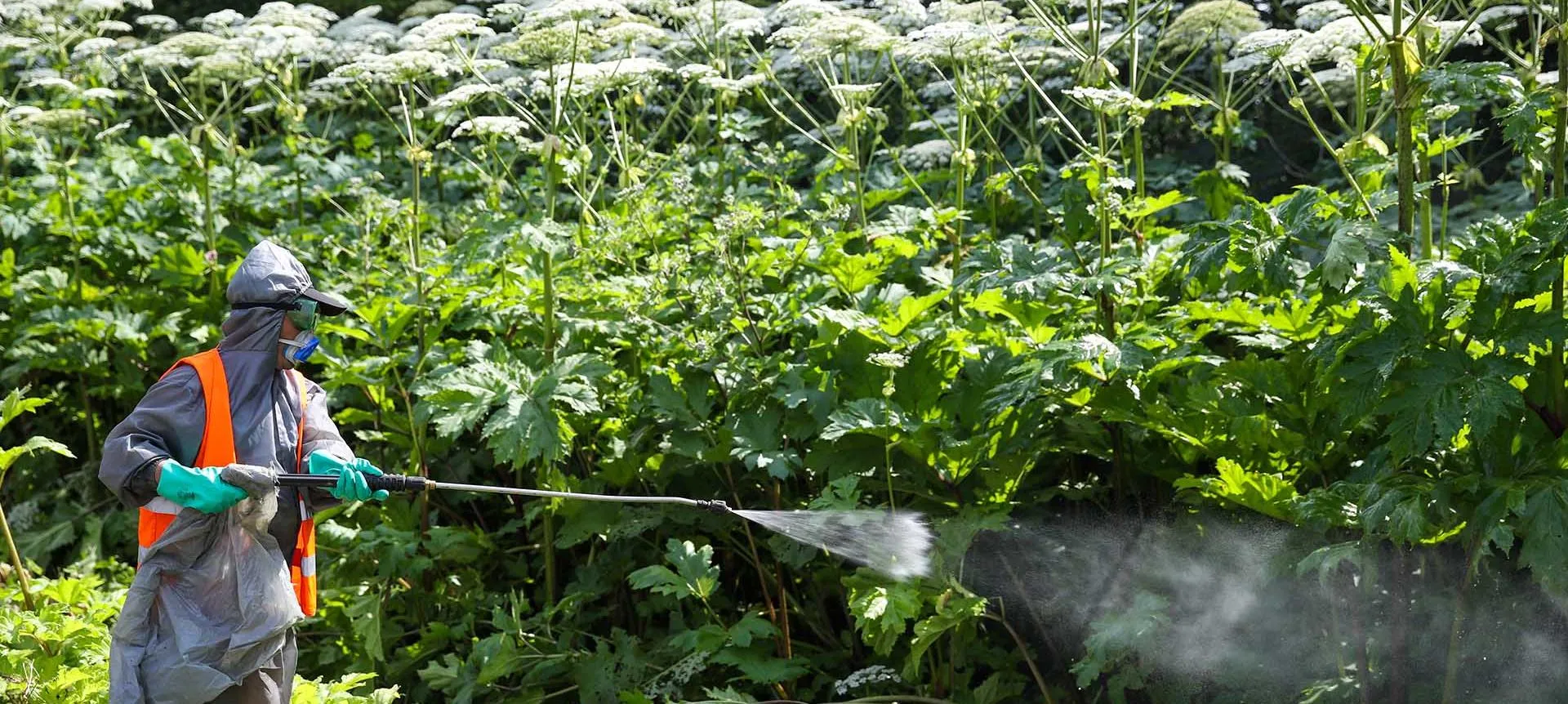 Сергей Савостьянов/ТАСС