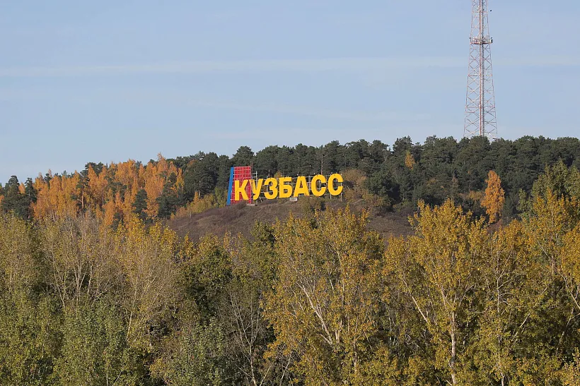 Объемы лесовосстановления в&nbsp;Кузбассе увеличатся в&nbsp;45&nbsp;раз