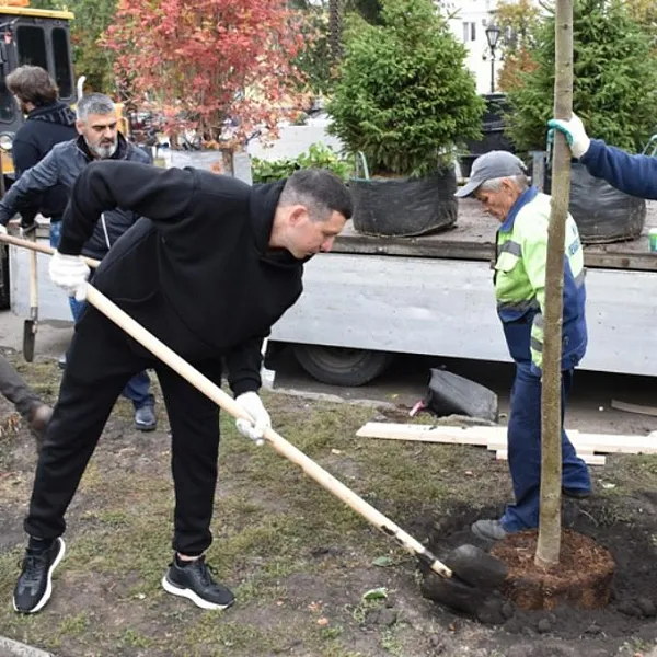 В&nbsp;пензенских скверах высадили 300&nbsp;деревьев