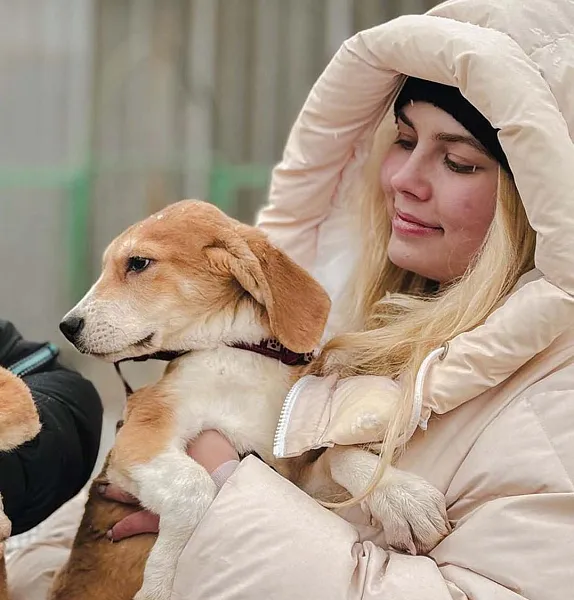 В&nbsp;Москве открылась фотовыставка бездомных животных &laquo;Хочу быть домашним&raquo;