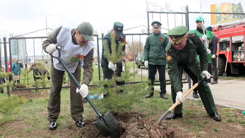 В&nbsp;Татарстане планируют высадить миллион саженцев в&nbsp;ходе акции &laquo;Сад памяти&raquo;