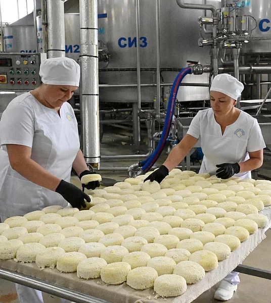 Кубань за&nbsp;год экспортировала более шести тысяч тонн молочной продукции