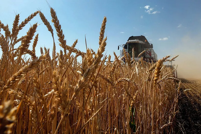 Приморье досрочно выполнило план по&nbsp;экспорту сельхозпродукции