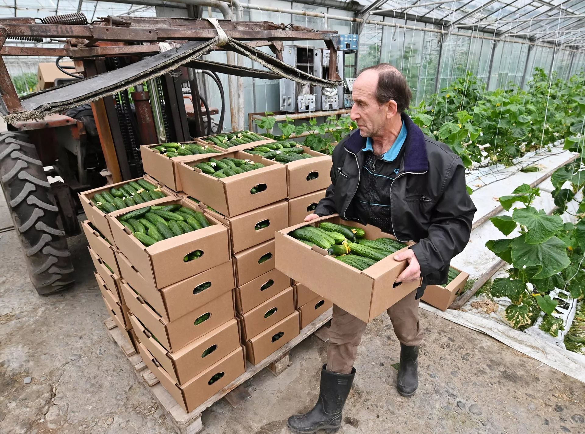 Кубань начала экспорт сельхозпродукции на&nbsp;Гибралтар и&nbsp;Коморские острова