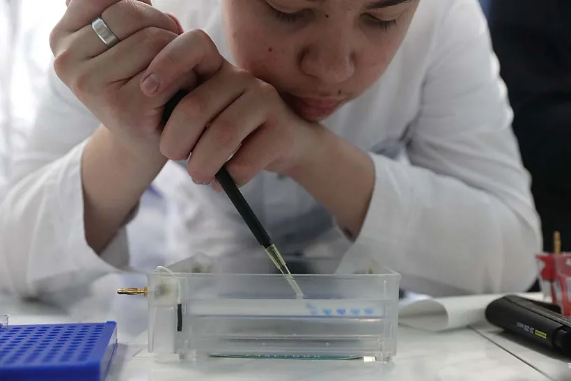 Около 100&nbsp;детей смогут обучаться на&nbsp;региональной экостанции Малой академии
