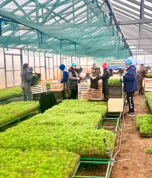 Тепличный комплекс установят в&nbsp;Мухоршибирском районе Бурятии