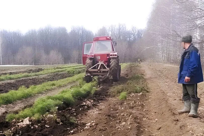 В&nbsp;Башкирии заготовят 28&nbsp;миллионов сеянцев для&nbsp;лесовосстановления