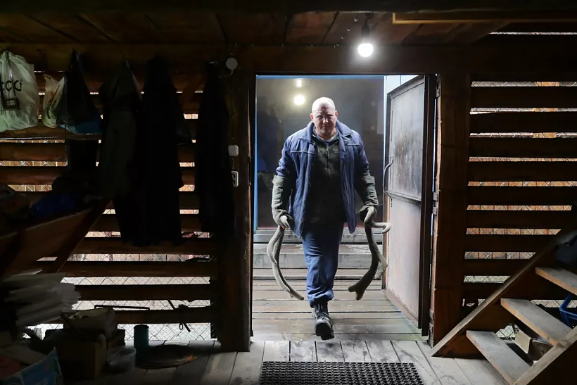 В&nbsp;Республике Алтай за&nbsp;год получили поддержку более 200&nbsp;предпринимателей