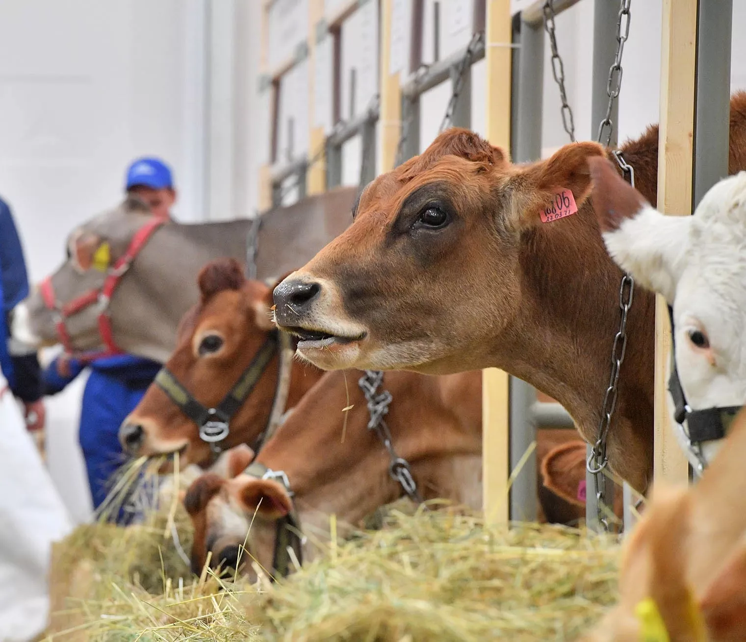 Алексей Куденко/РИА Новости