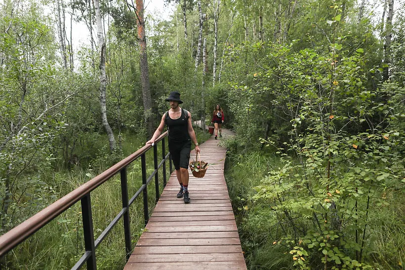 В&nbsp;Ульяновской области в&nbsp;заказнике &laquo;Богдановский&raquo; откроют экомаршруты