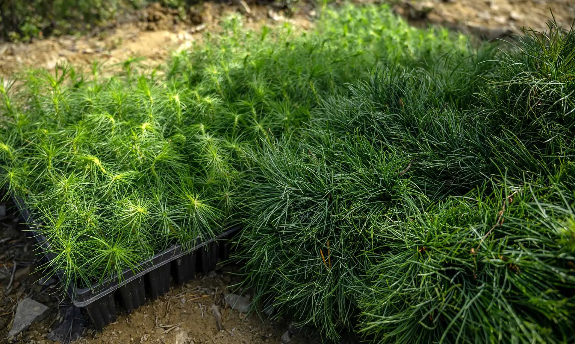 Павел Усаченко/РИА Новости 