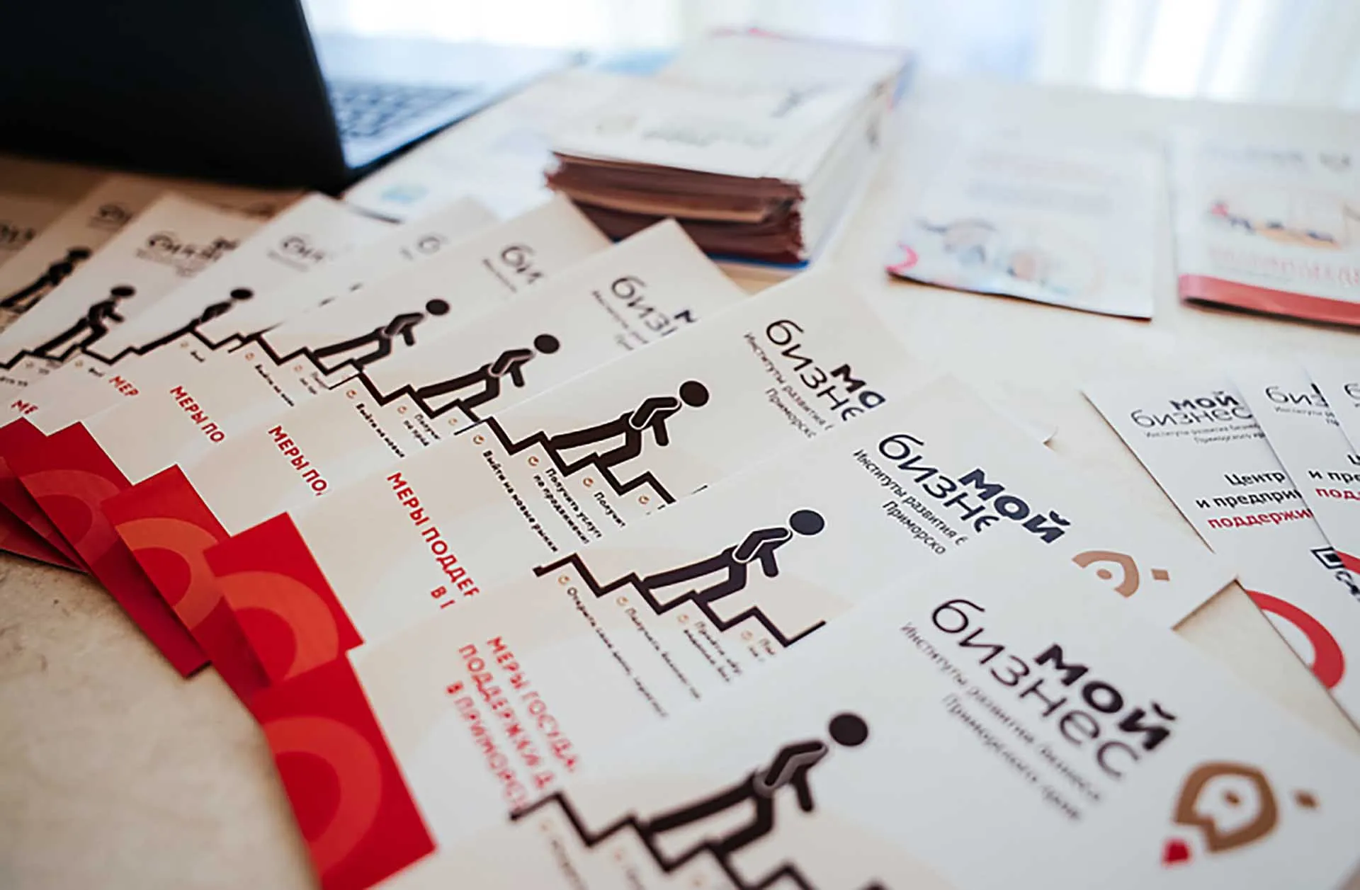 Агентство проектного управления Приморского края (РПО)