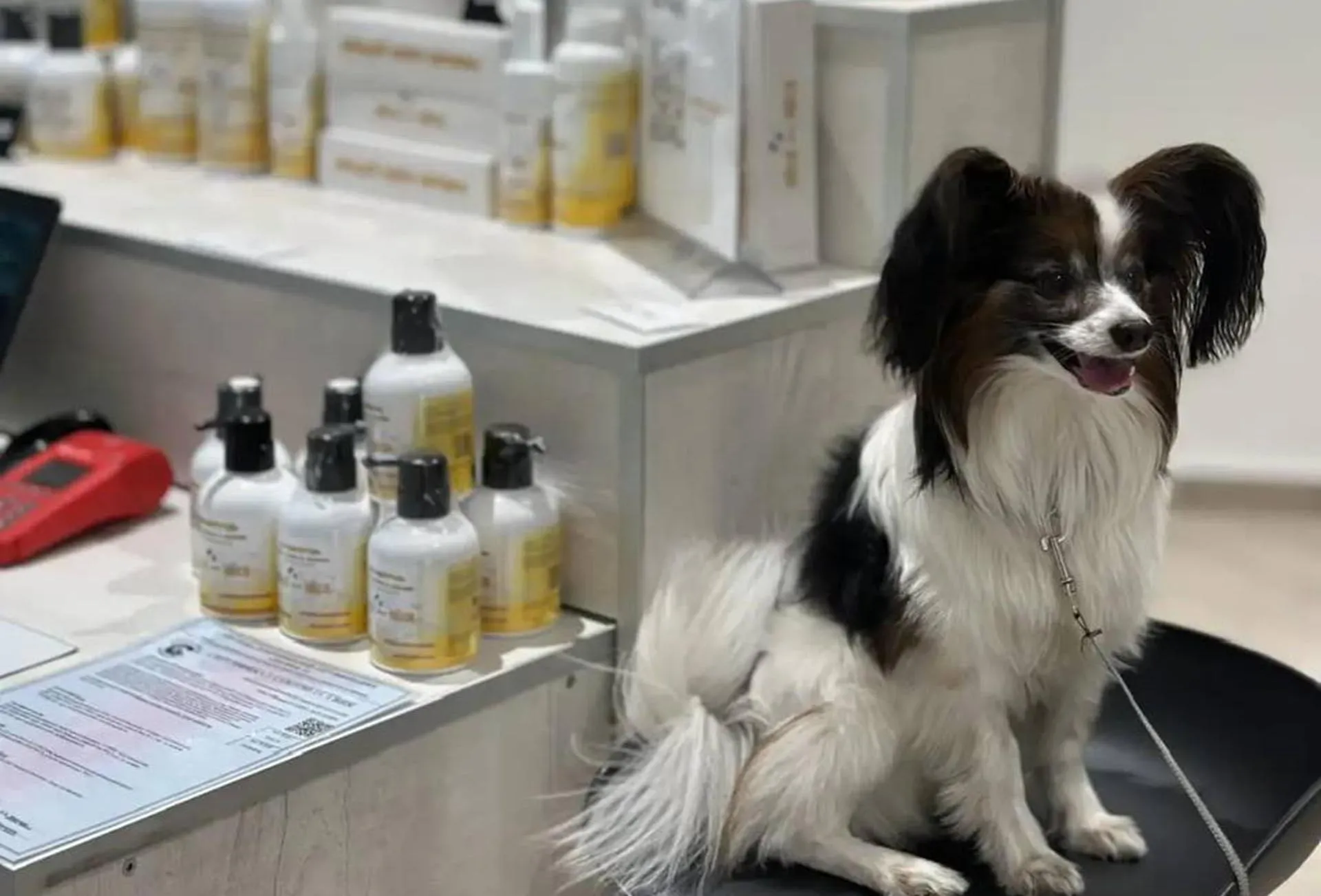 Министерство экономического развития Хабаровского края