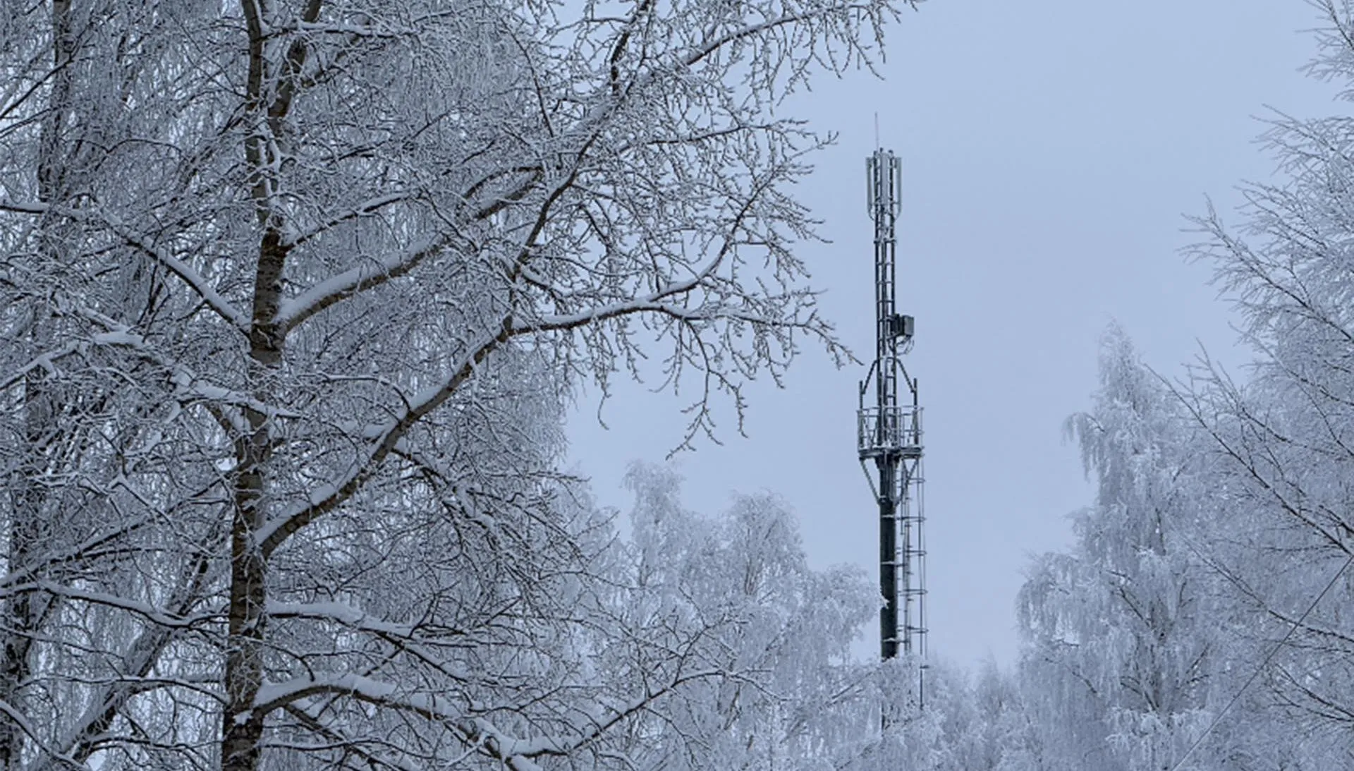 Управление массовых коммуникаций Кировской области
