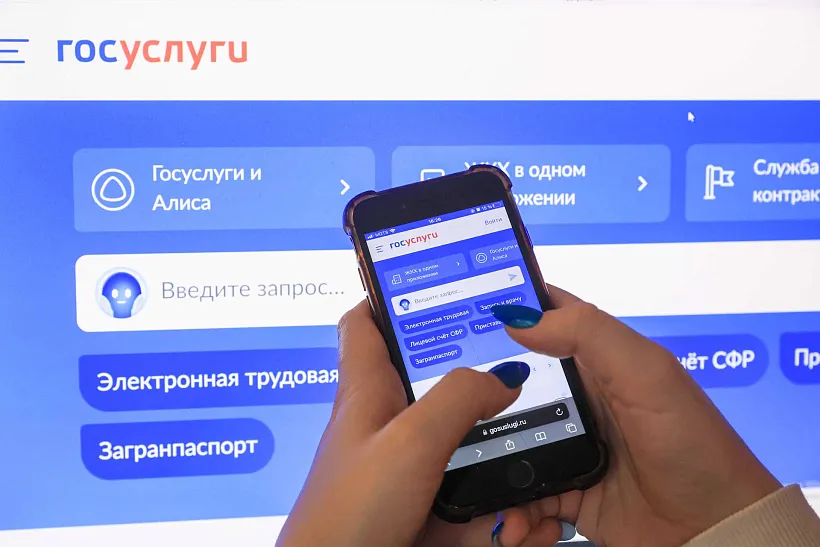 На&nbsp;&laquo;Госуслугах&raquo; запустили раздел с&nbsp;цифровыми сервисами Тюменской области