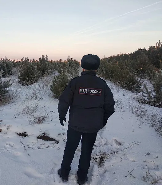 В&nbsp;Алтайском крае число незаконных рубок снизилось на&nbsp;20% за&nbsp;год