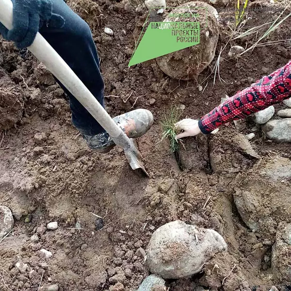 В&nbsp;Бурятии провели акцию &laquo;Сохраним лес&raquo;