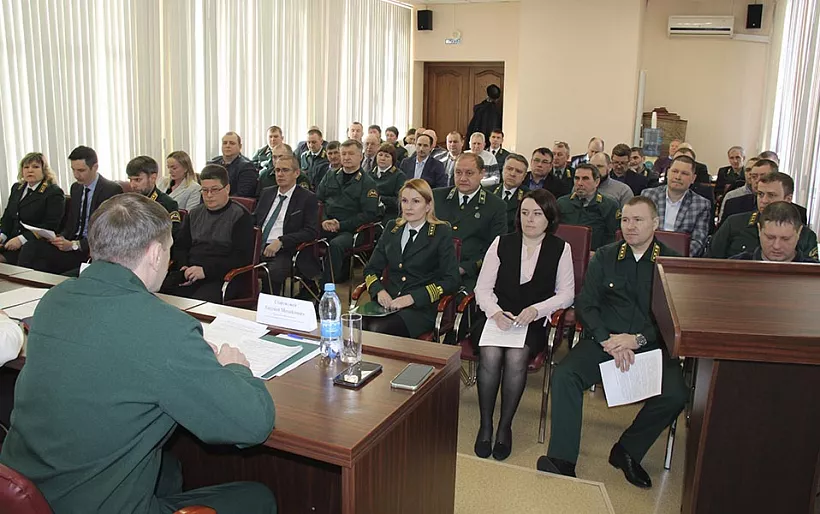 В&nbsp;Омской области лесовосстановление проведут на&nbsp;12,6&nbsp;тысячи гектаров