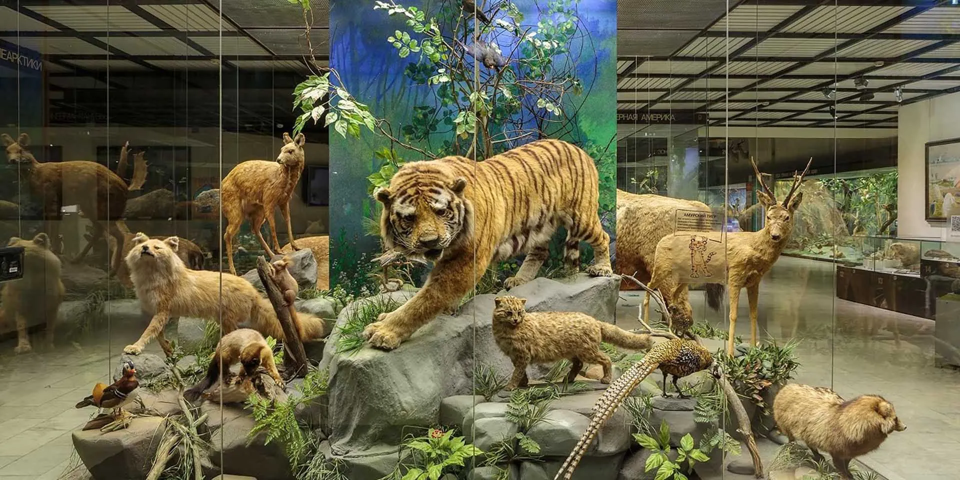 Департамент экономической политики и развития г. Москвы