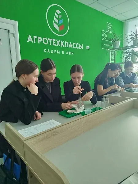 В&nbsp;Куликове Курганской области прошел семинар по&nbsp;обучению в&nbsp;агротехклассах