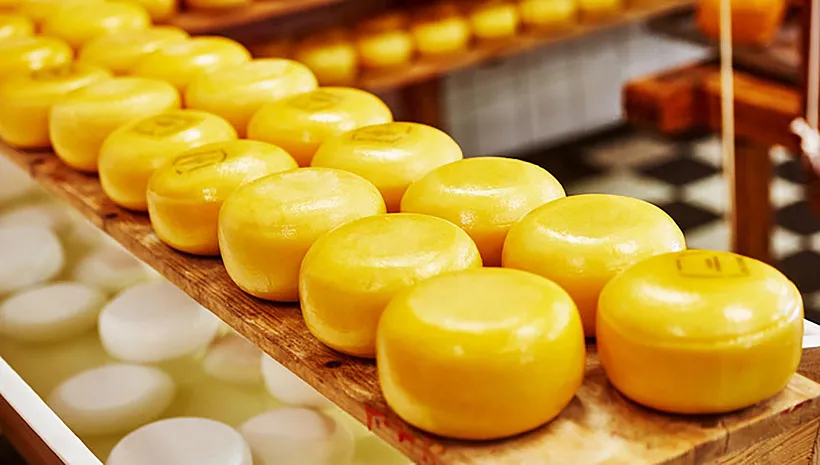 Сотрудники комбината молочных продуктов из&nbsp;Прикамья повысили квалификацию