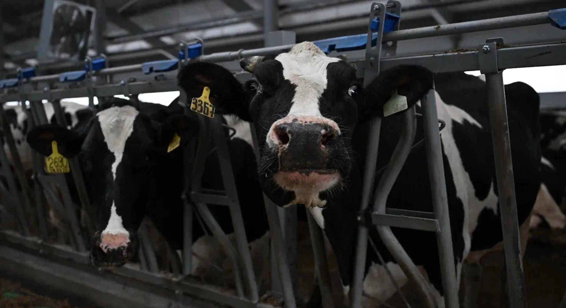 Министерство сельского хозяйства и продовольствия Удмуртской Республики