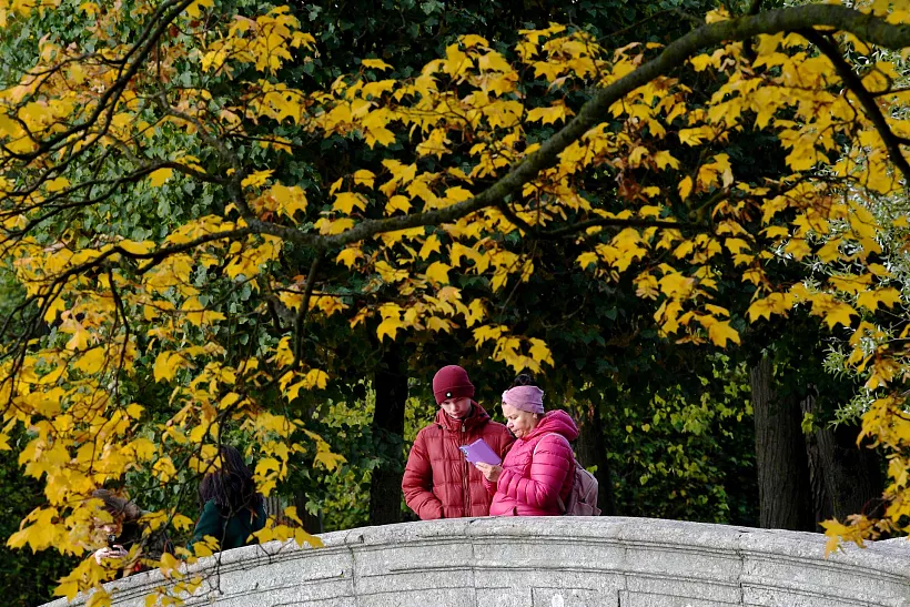 В&nbsp;Волгограде благоустроят территорию у&nbsp;музея-заповедника &laquo;Старая Сарепта&raquo;