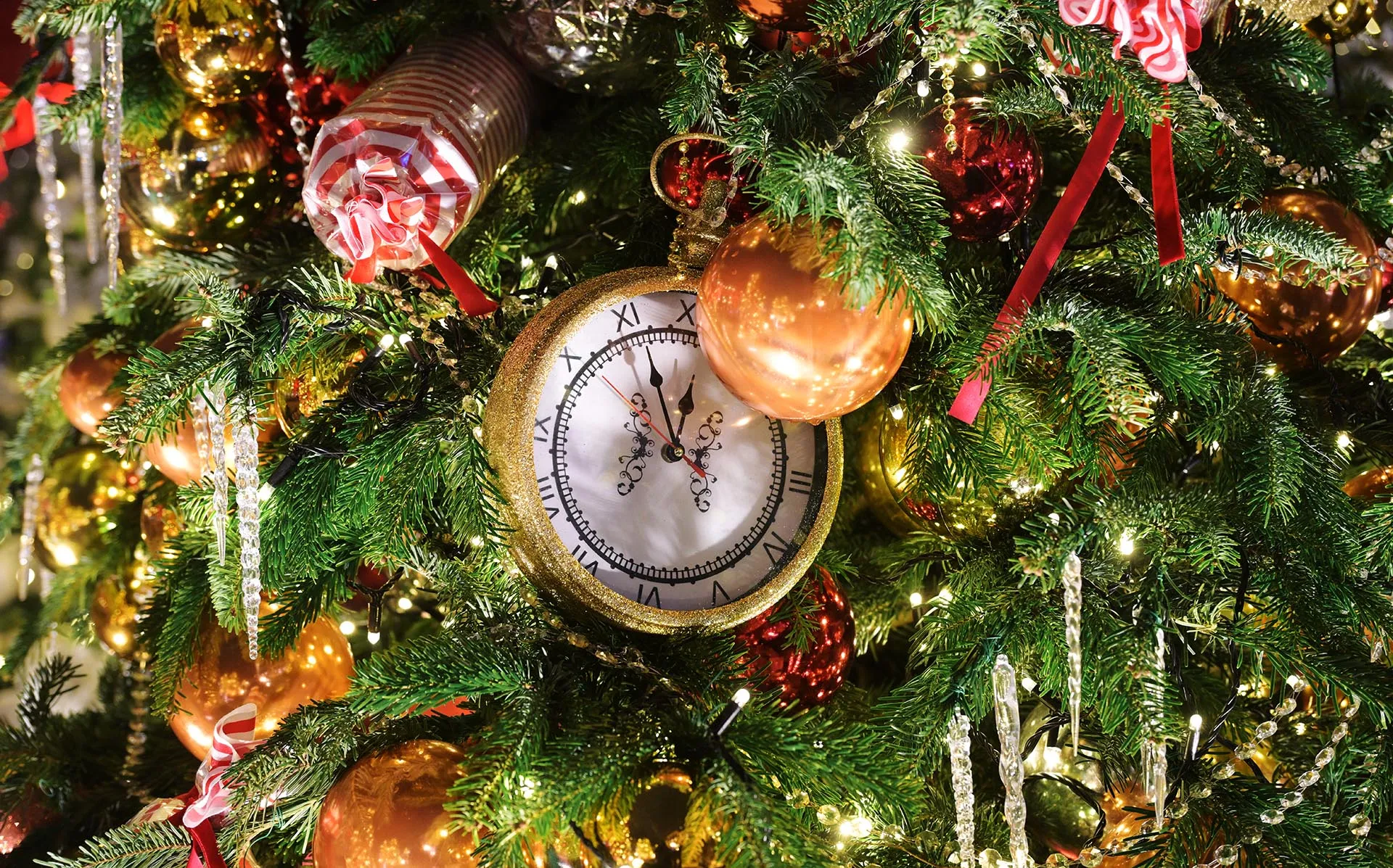 Алексей Никольский/РИА Новости