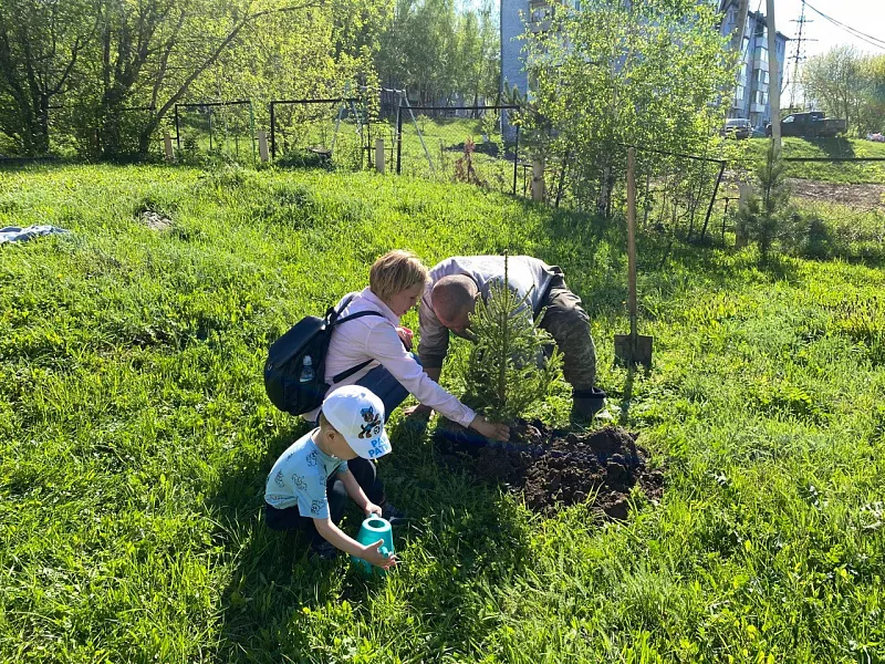 В&nbsp;Красноярском крае высадили более 9&nbsp;тыс. деревьев