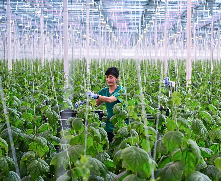 В&nbsp;Томской области работодатели и&nbsp;профсоюз АПК подвели итоги работы