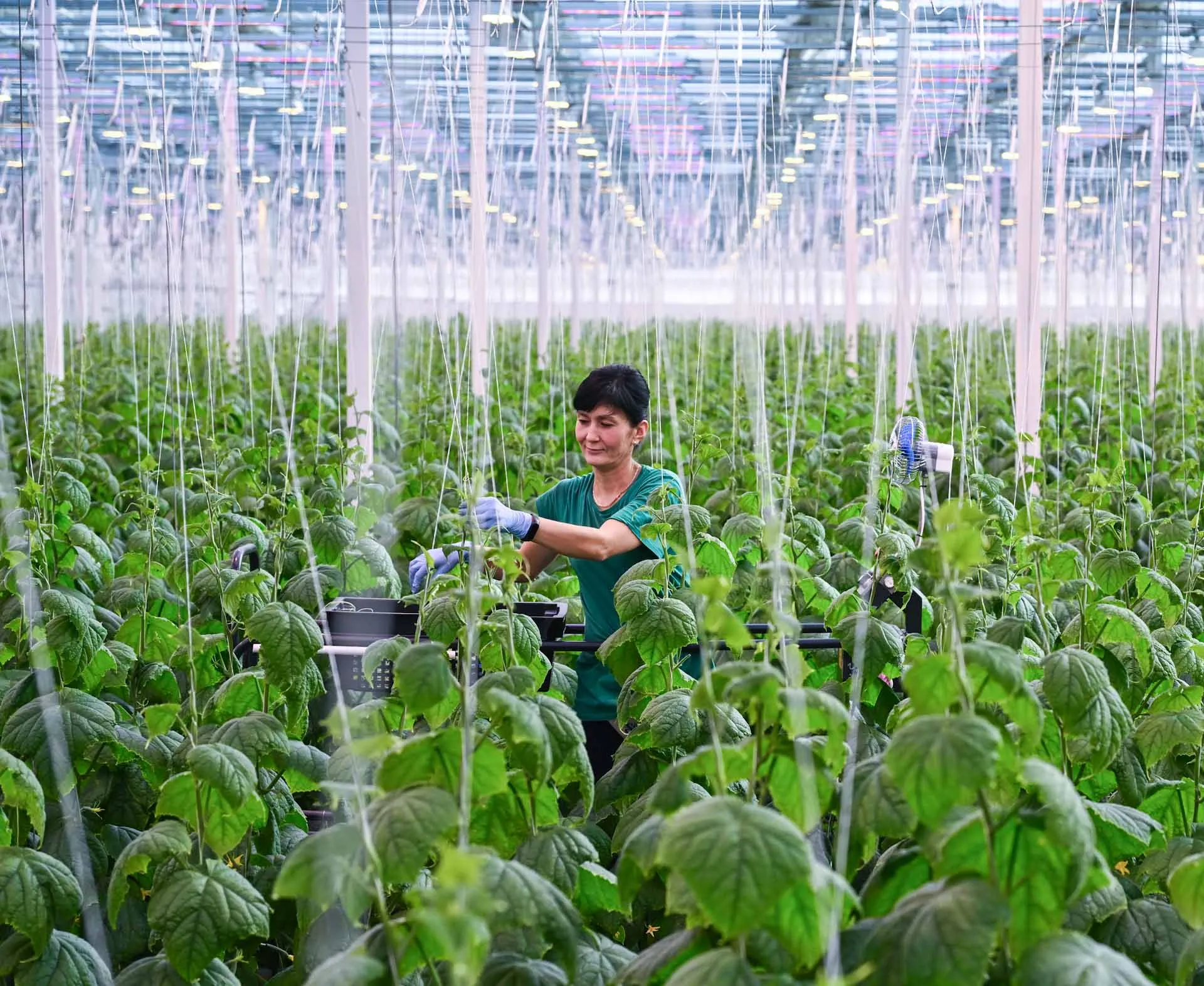 Константин Михальчевский/РИА Новости