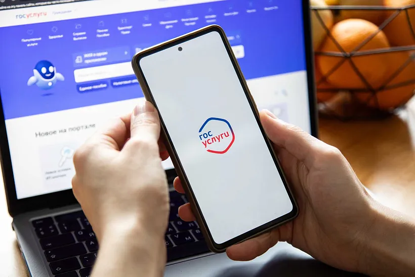 Ульяновская область вошла в&nbsp;число лидеров голосования за&nbsp;интернет для&nbsp;сел