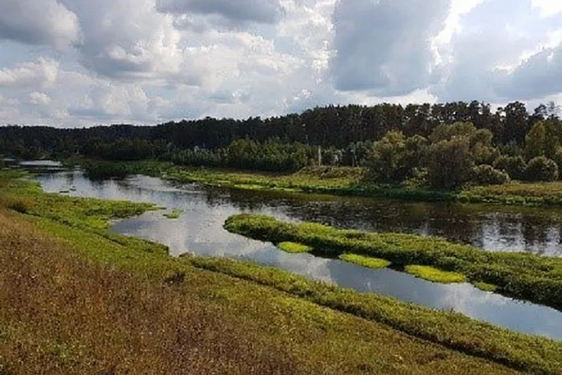 В&nbsp;Подмосковье появился природный заказник &laquo;Васильевское Поречье&raquo;