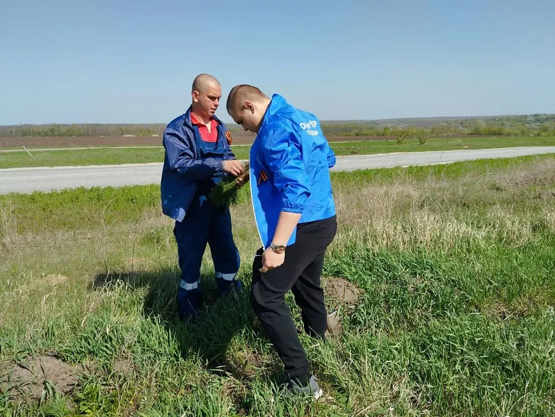 В&nbsp;Ракитянском районе Белгородской области прошла акция &laquo;Сад памяти&raquo;