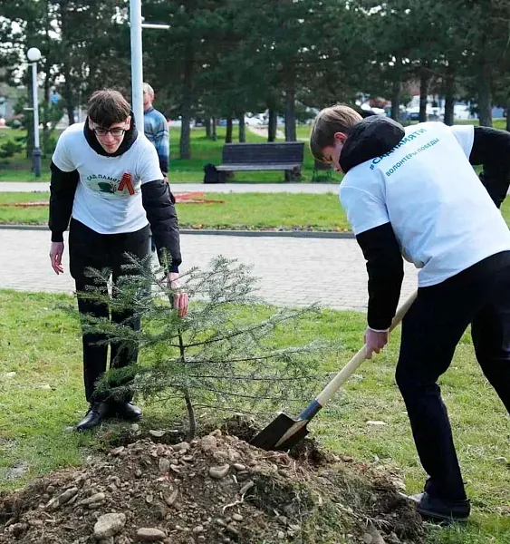 В&nbsp;Абинском районе Кубани прошла акция &laquo;Сад памяти&raquo;