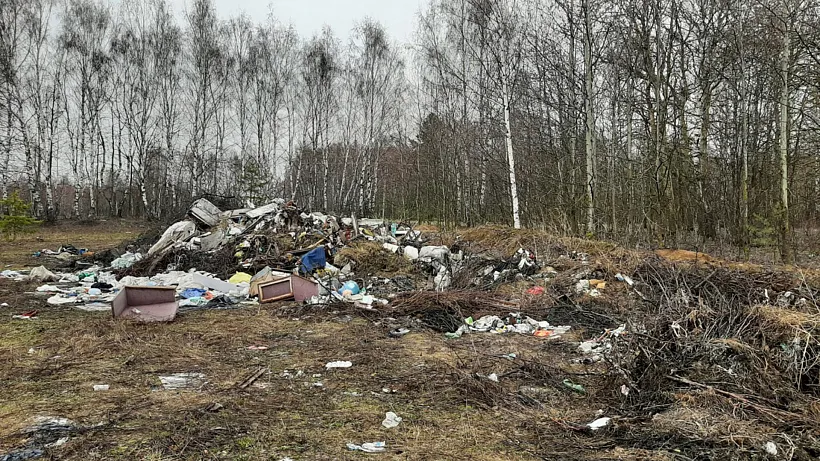 В&nbsp;Нижегородской области с&nbsp;начала года ликвидировали 660&nbsp;незаконных свалок