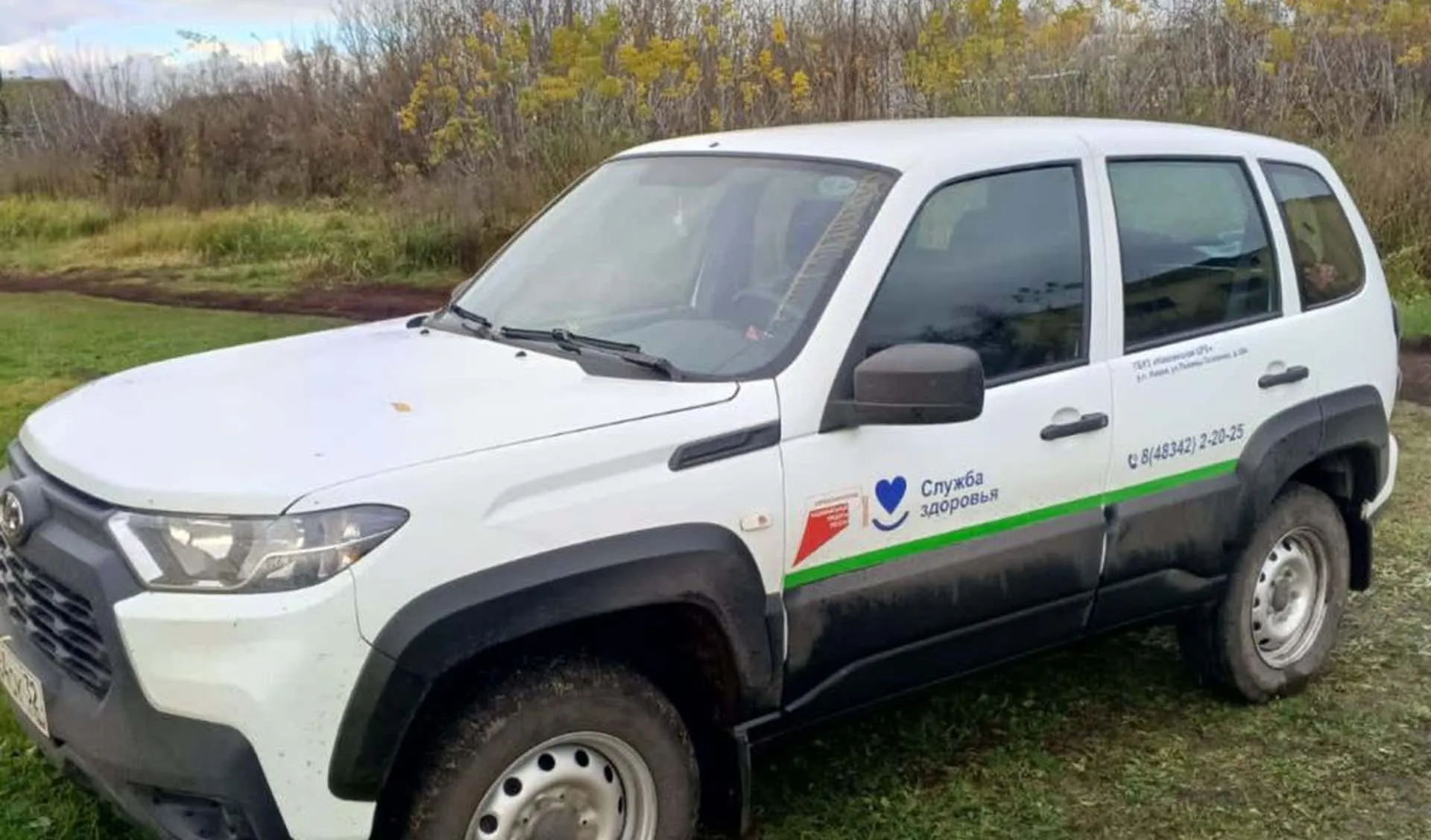 ГАУЗ Медицинский информационно-аналитический центр. г. Брянск