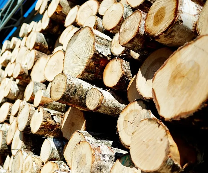 Прикамье уже экспортировало более 9,5&nbsp;тыс. кубометров лесоматериалов в&nbsp;Азию