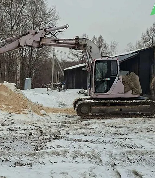 В&nbsp;Хабаровском крае подготовили к&nbsp;посадке тонну семян корейской сосны
